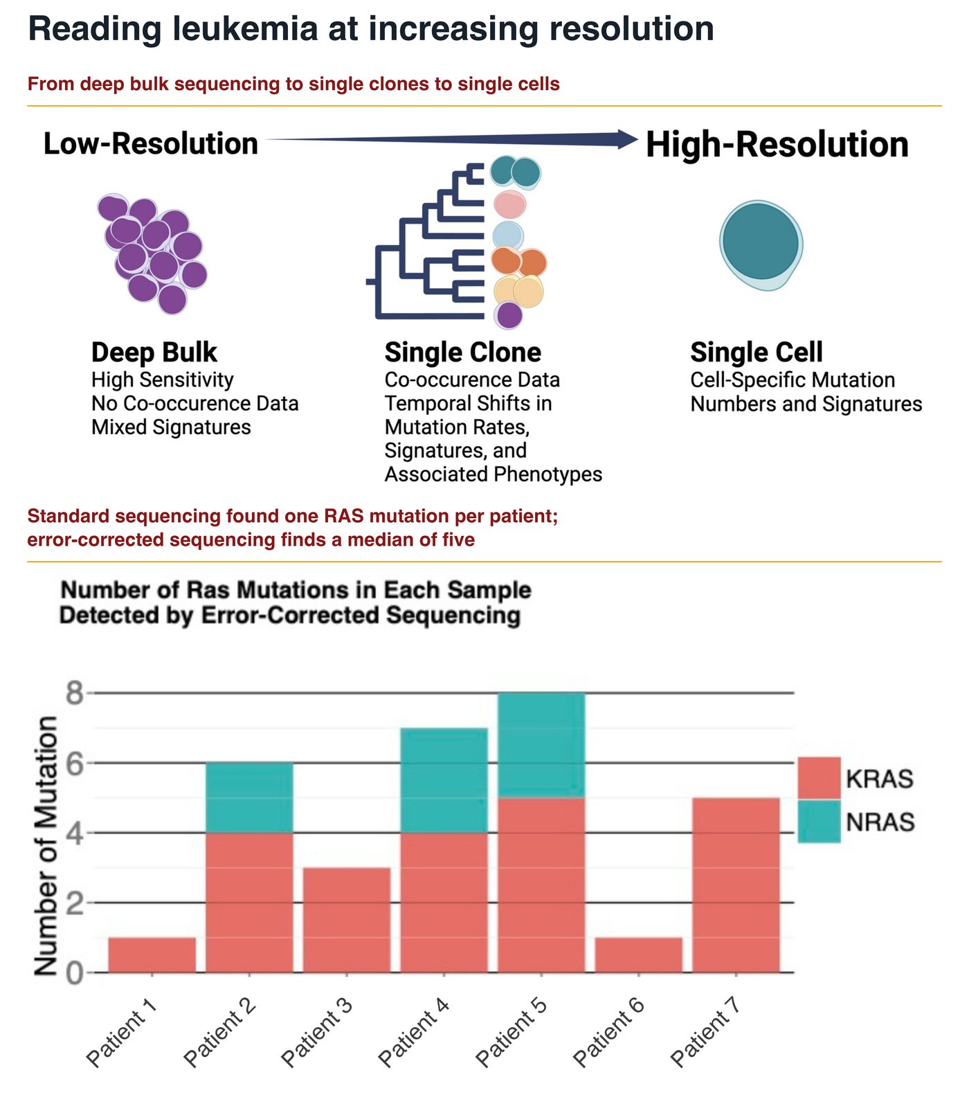 Schematic of leukemia sequencing at increasing resolution, from deep bulk to single clones to single cells, and a bar chart of RAS mutations per patient found by error-corrected sequencing
